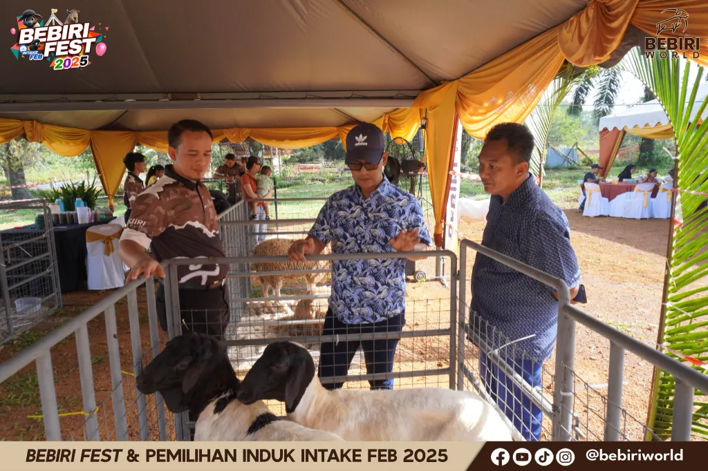 Bebiri Fest 2025 — 1000+ pengunjung