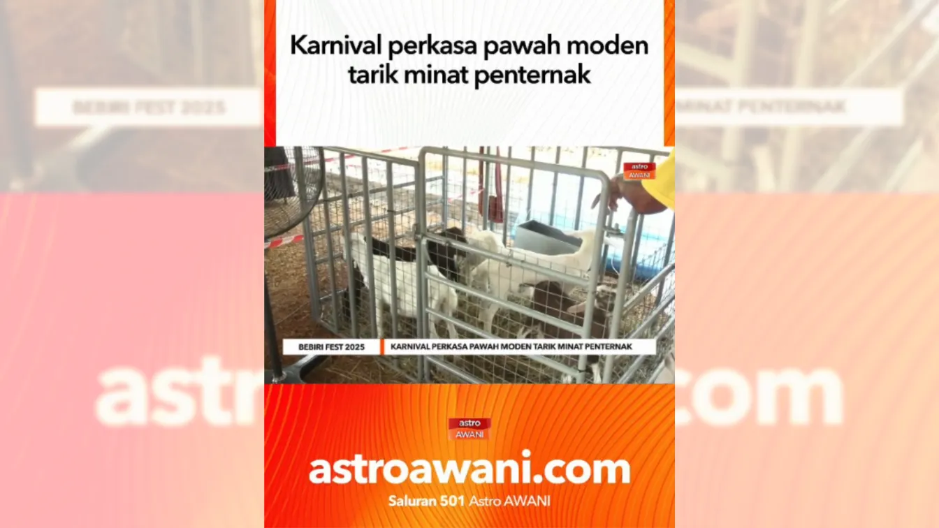Liputan Media Astro Awani #BebiriFest