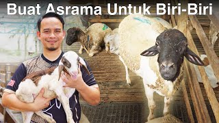 Bebiri Hostel — 1000+ biri-biri milik orang lain
